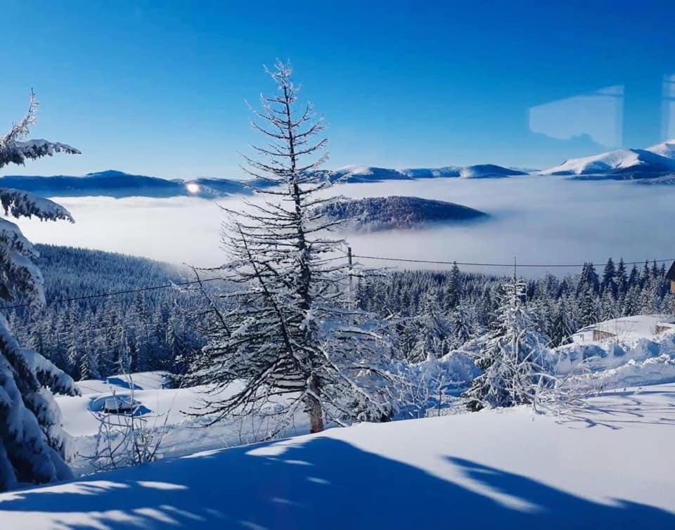 Pensiunea Casa Ancutei Rânca Exteriér fotografie